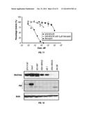 SERINE PROTEASE MOLECULES AND THERAPIES diagram and image