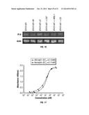 SERINE PROTEASE MOLECULES AND THERAPIES diagram and image