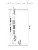 SERINE PROTEASE MOLECULES AND THERAPIES diagram and image