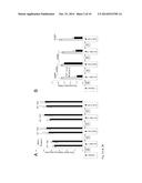 CASPASE 9 INHIBITION AND BRI2 PEPTIDES FOR TREATING DEMENTIA diagram and image