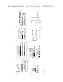 CASPASE 9 INHIBITION AND BRI2 PEPTIDES FOR TREATING DEMENTIA diagram and image