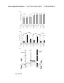 CASPASE 9 INHIBITION AND BRI2 PEPTIDES FOR TREATING DEMENTIA diagram and image