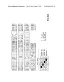 YEAST STRAIN FOR THE PRODUCTION OF PROTEINS WITH TERMINAL ALPHA-1,3-LINKED     GALACTOSE diagram and image