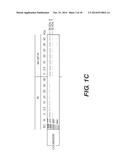 Compositions Containing Purine and Pyrimidine Nucleosides, Peptides, and     Manganese and Their Uses diagram and image