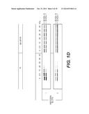 Compositions Containing Purine and Pyrimidine Nucleosides, Peptides, and     Manganese and Their Uses diagram and image