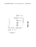 Compositions Containing Purine and Pyrimidine Nucleosides, Peptides, and     Manganese and Their Uses diagram and image