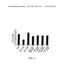 STABILIZED STAT3 DECOY OLIGONUCLEOTIDES AND USES THEREFORE diagram and image