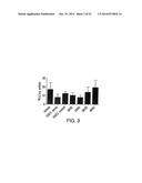 STABILIZED STAT3 DECOY OLIGONUCLEOTIDES AND USES THEREFORE diagram and image