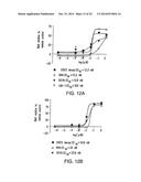 STABILIZED STAT3 DECOY OLIGONUCLEOTIDES AND USES THEREFORE diagram and image