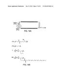 STABILIZED STAT3 DECOY OLIGONUCLEOTIDES AND USES THEREFORE diagram and image