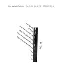 STABILIZED STAT3 DECOY OLIGONUCLEOTIDES AND USES THEREFORE diagram and image