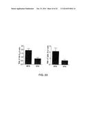 STABILIZED STAT3 DECOY OLIGONUCLEOTIDES AND USES THEREFORE diagram and image