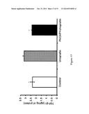 USE OF PITUITARY ADENYLATE CYCLASE-ACTIVATING POLYPEPTIDE (PACAP) AND     PACAP ANALOGS FOR TREATING CONTRAST-INDUCED NEPHROPATHY diagram and image