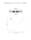 COMPOSITIONS AND METHODS FOR DRUG-SENSITIZATION OR INHIBITION OF A CANCER     CELL diagram and image