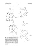 COMPOSITIONS AND METHODS FOR DRUG-SENSITIZATION OR INHIBITION OF A CANCER     CELL diagram and image