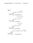 FOUR-COLOR DNA SEQUENCING BY SYNTHESIS USING CLEAVABLE FLUORESCENT     NUCLEOTIDE REVERSIBLE TERMINATORS diagram and image