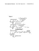 FOUR-COLOR DNA SEQUENCING BY SYNTHESIS USING CLEAVABLE FLUORESCENT     NUCLEOTIDE REVERSIBLE TERMINATORS diagram and image