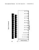 FOUR-COLOR DNA SEQUENCING BY SYNTHESIS USING CLEAVABLE FLUORESCENT     NUCLEOTIDE REVERSIBLE TERMINATORS diagram and image