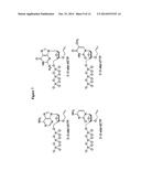 FOUR-COLOR DNA SEQUENCING BY SYNTHESIS USING CLEAVABLE FLUORESCENT     NUCLEOTIDE REVERSIBLE TERMINATORS diagram and image