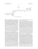 FOUR-COLOR DNA SEQUENCING BY SYNTHESIS USING CLEAVABLE FLUORESCENT     NUCLEOTIDE REVERSIBLE TERMINATORS diagram and image