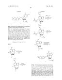 FOUR-COLOR DNA SEQUENCING BY SYNTHESIS USING CLEAVABLE FLUORESCENT     NUCLEOTIDE REVERSIBLE TERMINATORS diagram and image