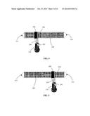 Scanning System and Method for Imaging and Sequencing diagram and image