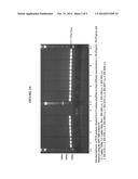 MOLECULAR ASSAY FOR THE AMPLIFICATION AND DETECTION OF KPC GENES     RESPONSIBLE FOR HIGH-LEVEL RESISTANCE TO CARBAPENEM IN GRAM NEGATIVE     BACTERIA diagram and image