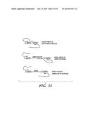 METHODS FOR SUPPRESSION PCR diagram and image