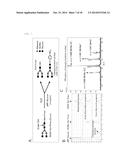 COMPOSITE SUGAR CHAIN HYDROLASE diagram and image