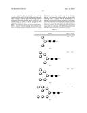 COMPOSITE SUGAR CHAIN HYDROLASE diagram and image