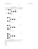 COMPOSITE SUGAR CHAIN HYDROLASE diagram and image