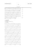 METHOD FOR PRODUCING AN L-AMINO ACID USING A BACTERIUM OF THE FAMILY     ENTEROBACTERIACEAE HAVING ATTENUATED EXPRESSION OF THE yjjK GENE diagram and image