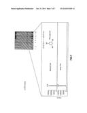 USE OF RECOMBINANT TYPE III  POLYKETIDE SYNTHASES  (PKS III) OF MARINE     BROWN ALGAE diagram and image