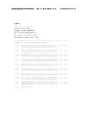 ISOPRENE SYNTHASE VARIANTS WITH IMPROVED SOLUBILITY FOR PRODUCTION OF     ISOPRENE diagram and image