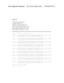 ISOPRENE SYNTHASE VARIANTS WITH IMPROVED SOLUBILITY FOR PRODUCTION OF     ISOPRENE diagram and image