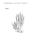 ISOPRENE SYNTHASE VARIANTS WITH IMPROVED SOLUBILITY FOR PRODUCTION OF     ISOPRENE diagram and image