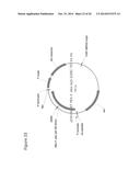 ISOPRENE SYNTHASE VARIANTS WITH IMPROVED SOLUBILITY FOR PRODUCTION OF     ISOPRENE diagram and image