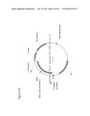 ISOPRENE SYNTHASE VARIANTS WITH IMPROVED SOLUBILITY FOR PRODUCTION OF     ISOPRENE diagram and image