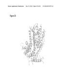 ISOPRENE SYNTHASE VARIANTS WITH IMPROVED SOLUBILITY FOR PRODUCTION OF     ISOPRENE diagram and image