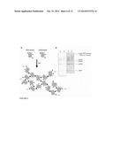 SYNTHESIS OF LINEAR AND BRANCHED POLYMERS OF POLYPEPTIDES THROUGH DIRECT     CONJUGATION diagram and image