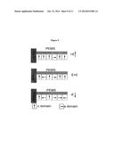 ENHANCED DETECTION SENSITIVITY WITH PIEZOELECTRIC MICROCANTILEVER SENSORS diagram and image