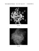 POLYMER MICROFILTERS, DEVICES COMPRISING THE SAME, METHODS OF     MANUFACTURING THE SAME, AND USES THEREOF diagram and image