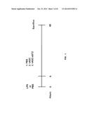 ENGINEERED STEM CELLS AND THEIR THERAPEUTIC USE diagram and image