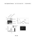 ENGINEERED STEM CELLS AND THEIR THERAPEUTIC USE diagram and image