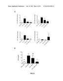 ENGINEERED STEM CELLS AND THEIR THERAPEUTIC USE diagram and image