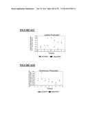 Microcarriers for Stem Cell Culture diagram and image