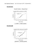 Microcarriers for Stem Cell Culture diagram and image