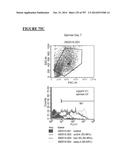 Microcarriers for Stem Cell Culture diagram and image