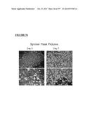 Microcarriers for Stem Cell Culture diagram and image