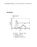 Microcarriers for Stem Cell Culture diagram and image